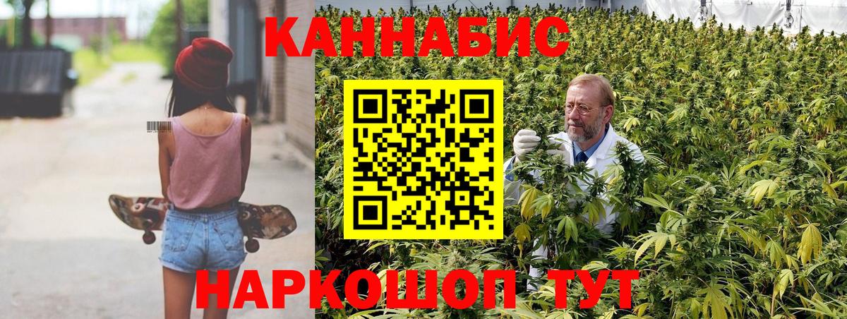 Бошки Шишки сатива Асино